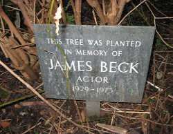 His death was like a shock for his fellow cast members, he suddenly falls ill after the compeletion of six series in Dad's Army while he was in the op